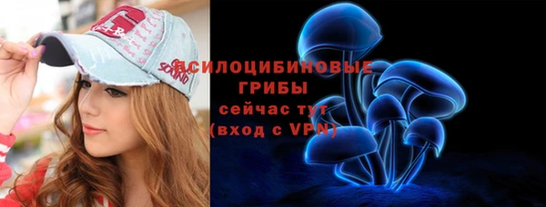 СК Балахна