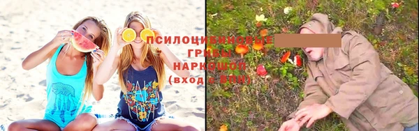 СК Балахна