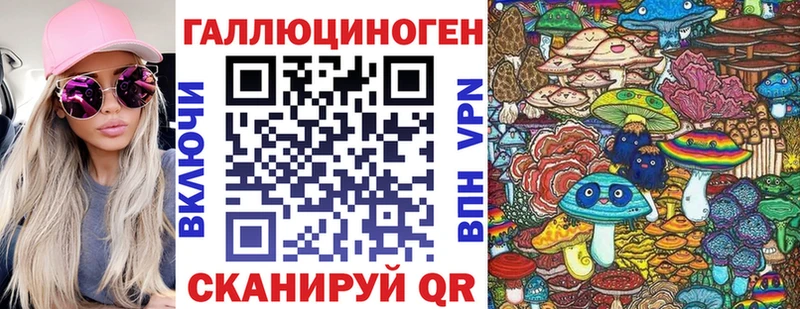 Купить где  Черняховск  Псилоцибиновые грибы мицелий 